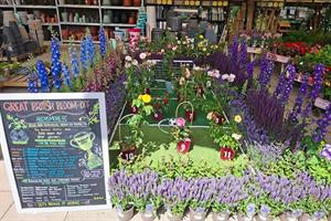 Thetford Garden Centre Allensmore promotion